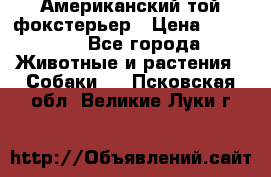 Американский той фокстерьер › Цена ­ 25 000 - Все города Животные и растения » Собаки   . Псковская обл.,Великие Луки г.